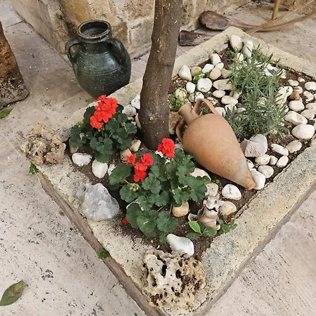 Sibel 3* אנטליה